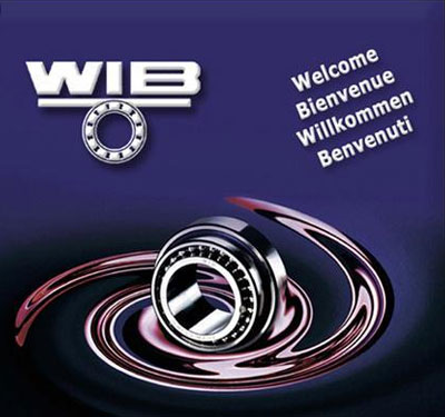 WIB